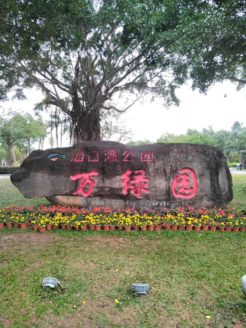 龙华区百货零售：商业新活力的绽放